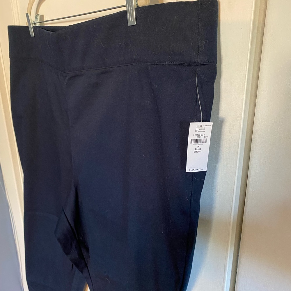 NWT Size 26 short (plus size) Dress Pants